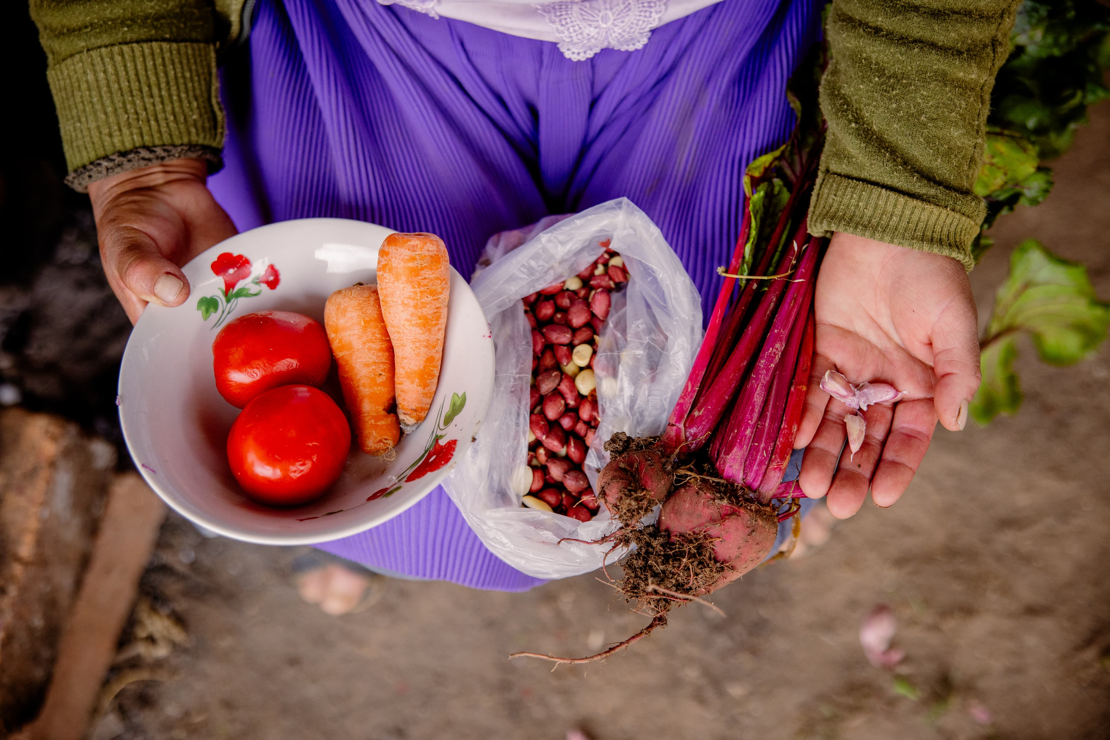 How NGO Livelihood Support Helps Families Build Food Security and Resilience